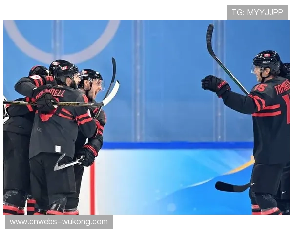 加拿大男冰9-2大胜法国,比赛末段爆发冲突事件 加拿大男冰9-2大胜法国,比赛末段爆发冲突事件